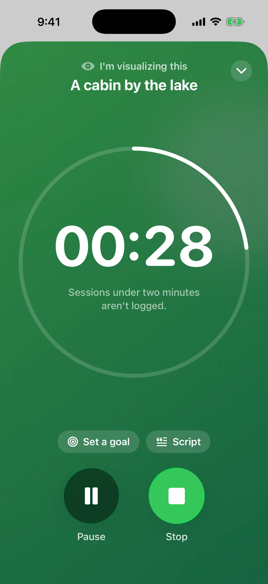 The Reach visualization timer running for A cabin by the lake, showing twenty-eight seconds elapsed with pause and stop controls.